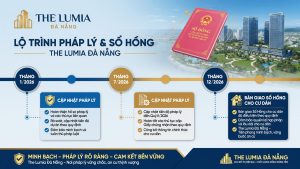 the lumia đà nẵng
